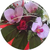 Valentine capéran